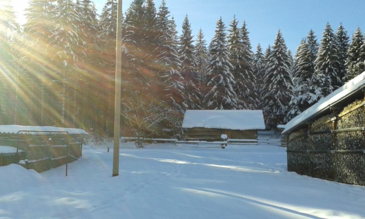 Ferienwohnung Gabi Forbach Exterior foto